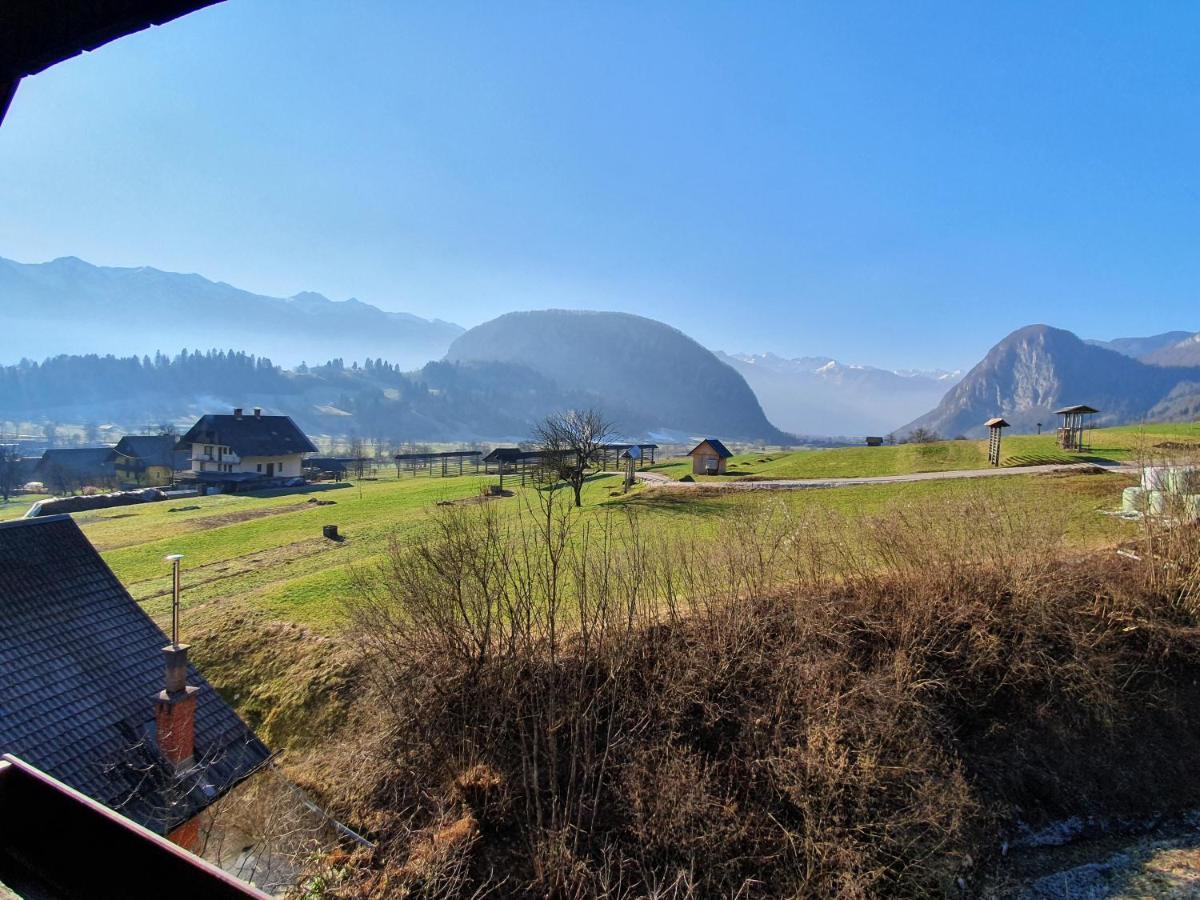 Apartmaji Pavc Bohinj Dış mekan fotoğraf